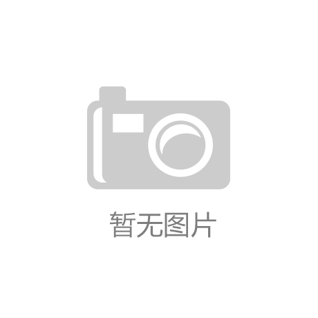官网开发公司有哪些可审视的专业团队概况